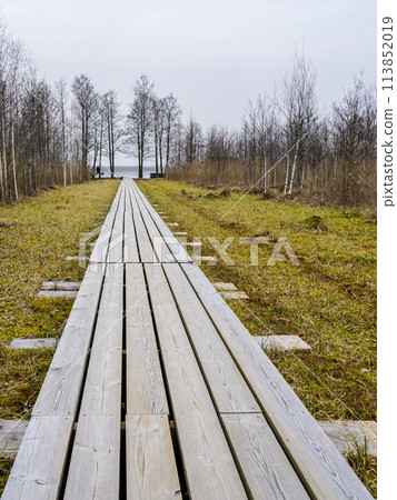 A long wooden boardwalk that leads across the marsh to the lake in early spring, perspective view 113852019