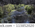 流經上高地的清澈河流 113852020