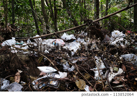 Illegally dumped garbage in the forest 113852064