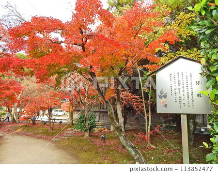 福岡縣著名旅遊景點太宰府天滿宮旁的漂浮神社 福岡縣著名旅遊景點太宰府天滿宮旁的漂浮神社 113852477