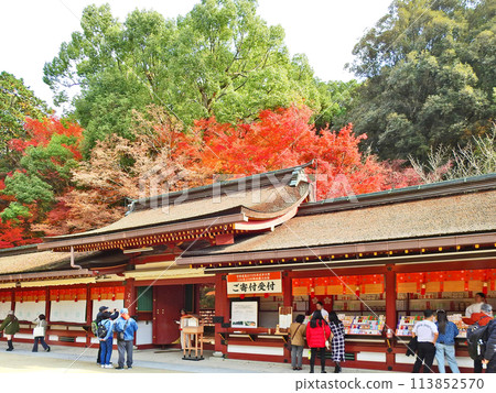 Dazaifu Tenmangu Shrine, a popular tourist spot in Fukuoka Prefecture, with beautiful autumn foliage 113852570