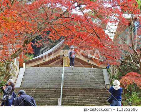 福岡縣太宰府市的紅葉名勝寶滿宮灶門神社 福岡縣太宰府市的紅葉名勝寶滿宮灶門神社 113852586