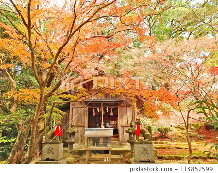 福岡縣著名旅遊勝地寶滿宮灶門神社境內的式部稻荷神社 113852599