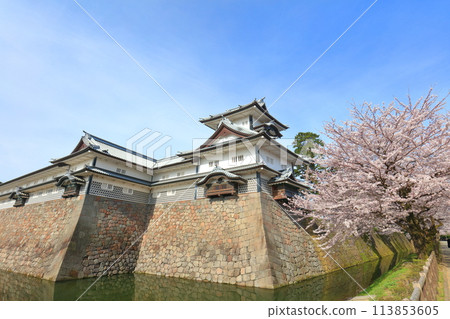 【石川縣】晴朗的金澤城、菱櫓和櫻花盛開 113853605