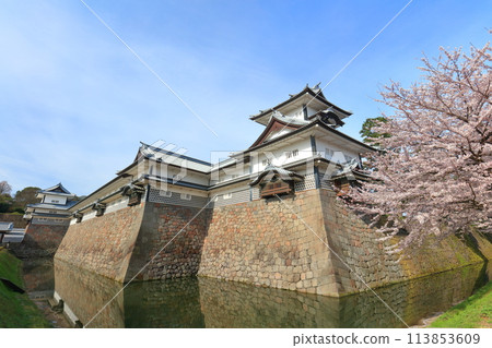 [Ishikawa Prefecture] Kanazawa Castle on a clear day, Hishiyagura turret and cherry blossoms in full bloom 113853609