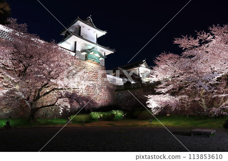 [Ishikawa Prefecture] Cherry blossoms in full bloom at Ishikawa Gate of Kanazawa Castle 113853610