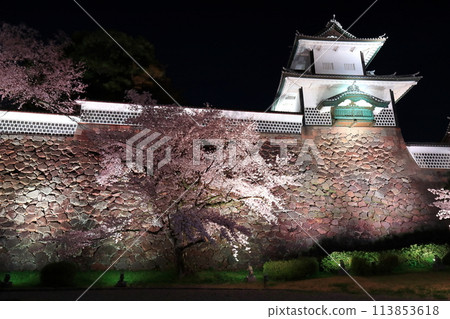 [Ishikawa Prefecture] Cherry blossoms in full bloom at Ishikawa Gate of Kanazawa Castle 113853618