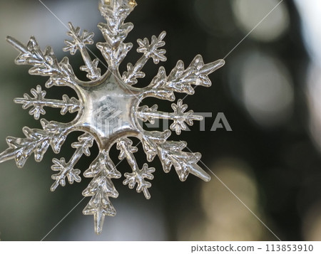 Snowflake Ornament 113853910