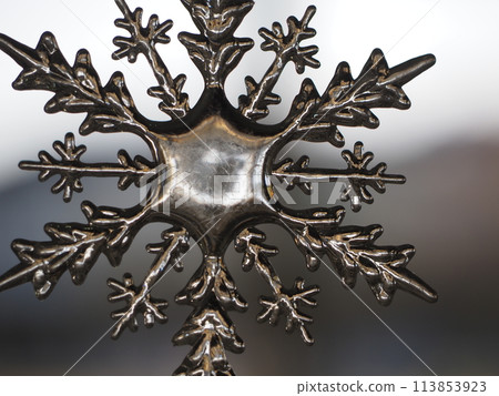 雪花裝飾品 雪花裝飾品 113853923