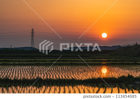 【莊內風景】莊內平原的夕陽與稻田 【莊內風景】莊內平原的夕陽與稻田 113854085