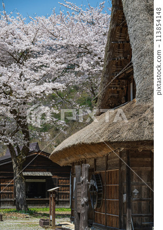 Spring scenery at the World Heritage site of Suganuma Gassho-style Village Spring scenery at the World Heritage site of Suganuma Gassho-style Village 113854148