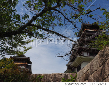 京都府伏見城 113854251