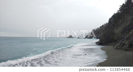Waves crashing on the shore under a cloudy sky Waves crashing on the shore under a cloudy sky 113854488