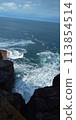 The sea seen from the rocks 113854514