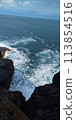 The sea seen from the rocks 113854516