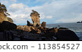 rock jutting out to sea 113854527
