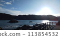 Bridge over the ocean 113854532