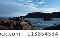 An island floating in the sea 113854534
