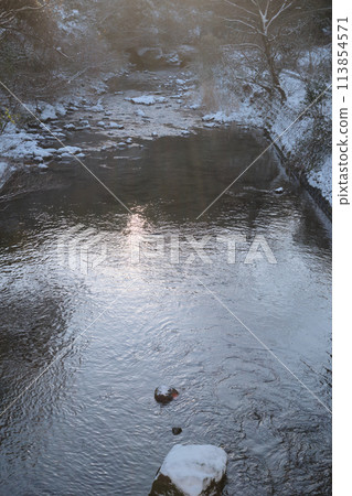 Winter river landscape Winter river landscape 113854571