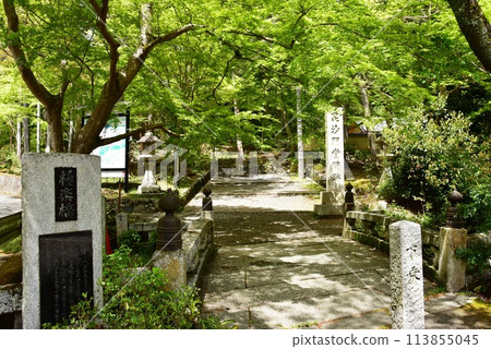 京都市山科毗沙門堂的極樂橋與新鮮綠樹 京都市山科毗沙門堂的極樂橋與新鮮綠樹 113855045