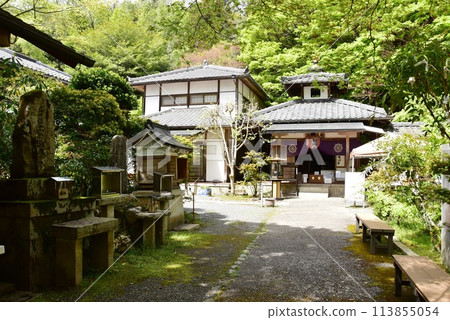 Kyoto City: The Fudo Hall and fresh greenery at Yamashina Shoten (Sourin-in) 113855054