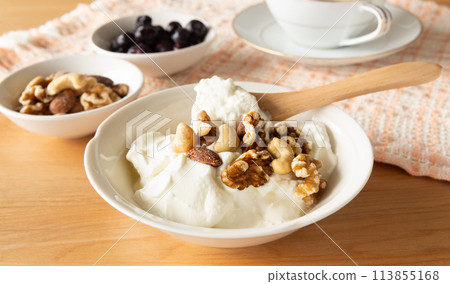 Thick Greek Yogurt Dairy Products 113855168