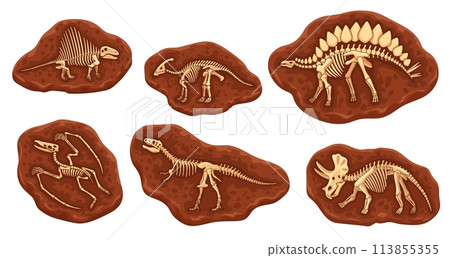 Cartoon dinosaur fossil bones in stone. Dino animal skeletons, vector geology, archeology and paleontology science. Tyrannosaurus, triceratops, spinosaurus, stegosaurus, pterodactyl, parasaurolophus 113855355
