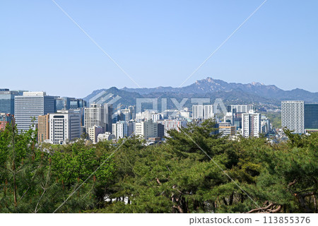 Myeongdong streetscape and the mountains of Seoul as seen from Namsan Promenade [Seoul, Korea] 113855376