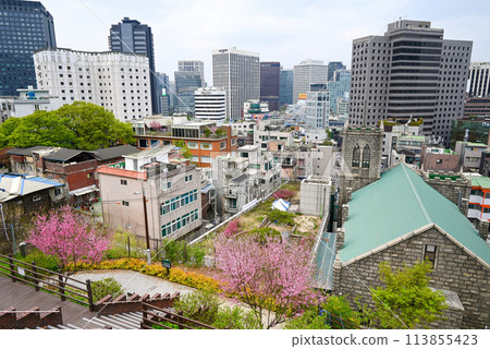 明洞街景 [韓國首爾] 113855423