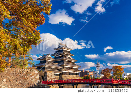 (Nagano Prefecture) National Treasure Matsumoto Castle Evening view 113855452
