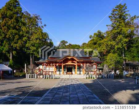Nagaoka Tenmangu Shrine (Nagaokakyo City, Kyoto Prefecture) during plum blossom season Nagaoka Tenmangu Shrine (Nagaokakyo City, Kyoto Prefecture) during plum blossom season 113855539