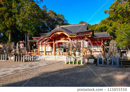 Nagaoka Tenmangu Shrine (Nagaokakyo City, Kyoto Prefecture) during plum blossom season 113855550