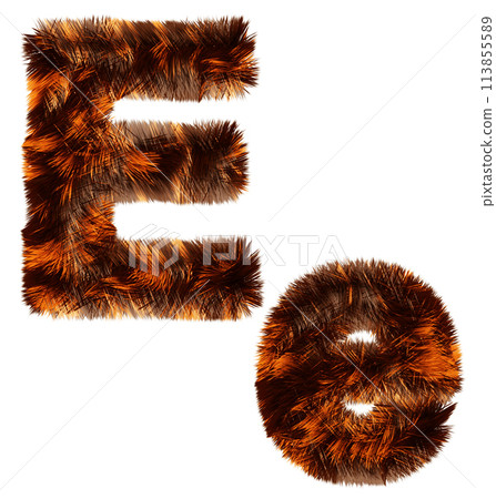 Animal fur decorative alphabet Animal fur decorative alphabet 113855589