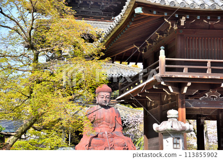 <Aichi Prefecture> Koshoji Temple Five-story Pagoda and Shakyamuni Buddha in Spring <Aichi Prefecture> Koshoji Temple Five-story Pagoda and Shakyamuni Buddha in Spring 113855902