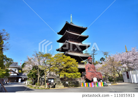 <Aichi Prefecture> Koshoji Temple Five-story Pagoda and Shakyamuni Buddha in Spring 113855913