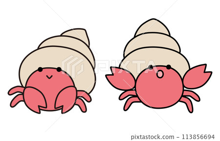 Vector illustration of two cute hermit crabs. Icon, sea, aquarium, fish 113856694