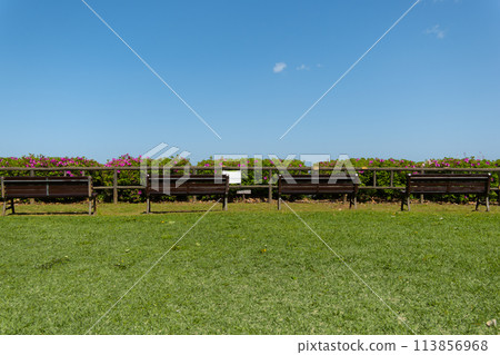 公園裡的長椅可以俯瞰大海 113856968