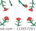 Mother's Day Carnation Illustration Frame 113857261