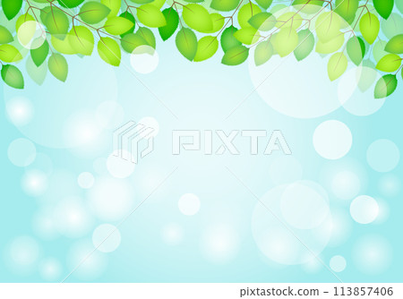 Beautiful fresh green frame background of green leaves sky blue Beautiful fresh green frame background of green leaves sky blue 113857406