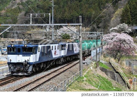 EF64 freight train on the Central West Line 113857700