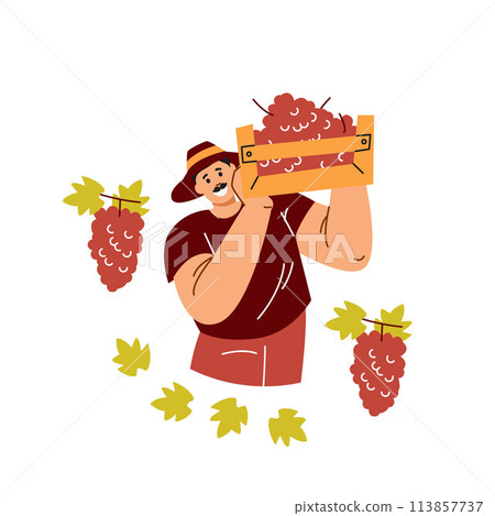Joyful grape harvest vector illustration 113857737