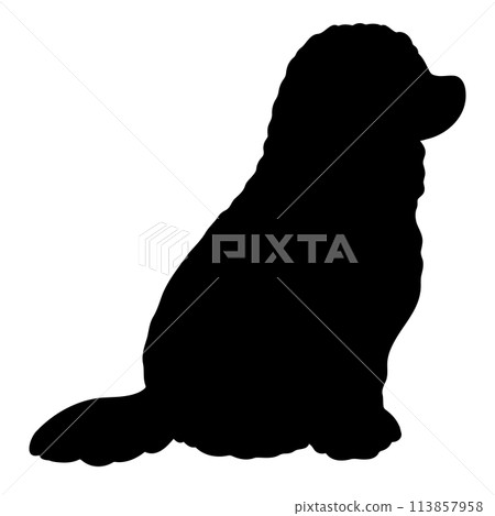 可蒙多犬側身坐著的簡單可愛的剪影。 113857958