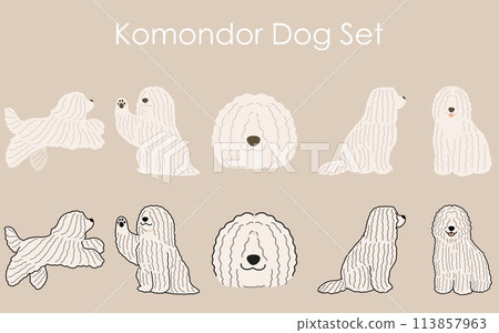簡單可愛的Komondor插畫集 113857963