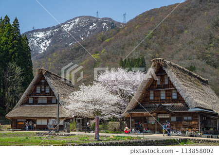 世界遺產菅沼合掌造村的春天景色 113858002