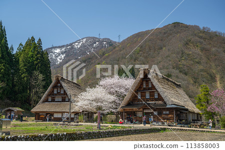 Spring scenery at the World Heritage site of Suganuma Gassho-style Village Spring scenery at the World Heritage site of Suganuma Gassho-style Village 113858003