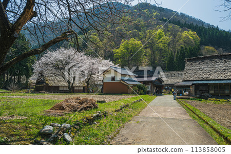 Spring scenery at the World Heritage site of Suganuma Gassho-style Village Spring scenery at the World Heritage site of Suganuma Gassho-style Village 113858005