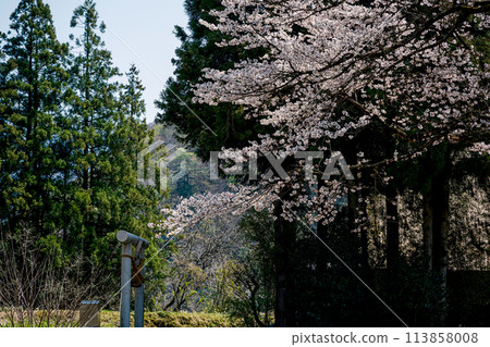 Spring scenery at the World Heritage site of Suganuma Gassho-style Village Spring scenery at the World Heritage site of Suganuma Gassho-style Village 113858008