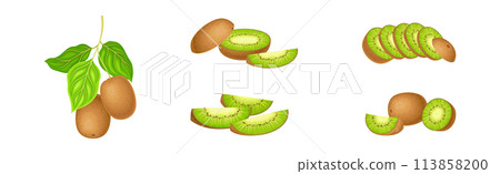 Fresh Kiwi Fruit with Green Pulp Vector Set Fresh Kiwi Fruit with Green Pulp Vector Set 113858200