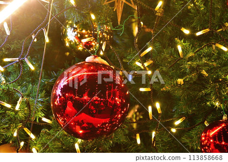 Sendai Pageant of Light (Miyagi Prefecture) Sendai Pageant of Light (Miyagi Prefecture) 113858668