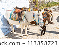 The donkey of Santorini 113858723